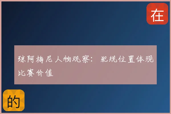 琼阿梅尼人物观察：犯规位置体现比赛价值