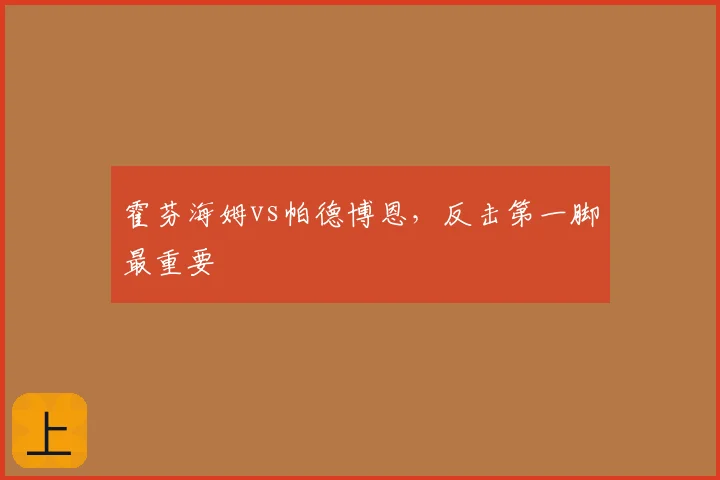 霍芬海姆vs帕德博恩，反击第一脚最重要