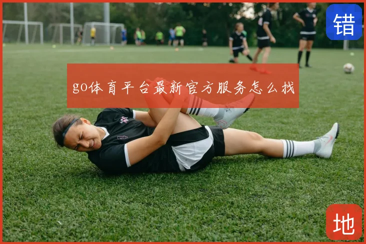go体育平台最新官方服务怎么找